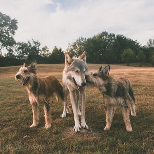 Meet your Posher, Lynsi